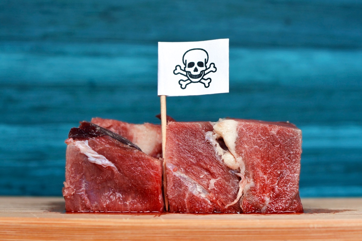 Antibiotic Bison: Here Are the Healthiest Cuts for You