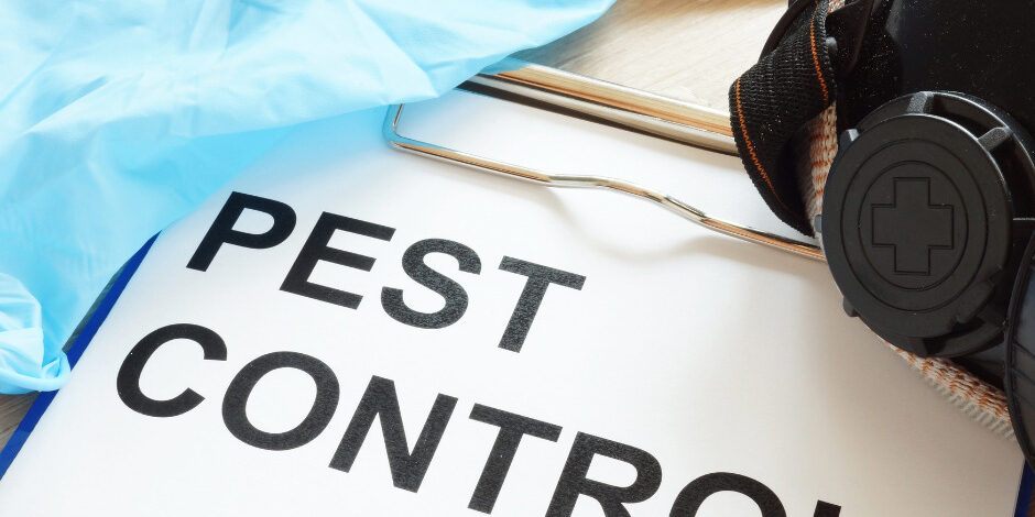 Things To Do Prior To And Following Pest Control Treatment