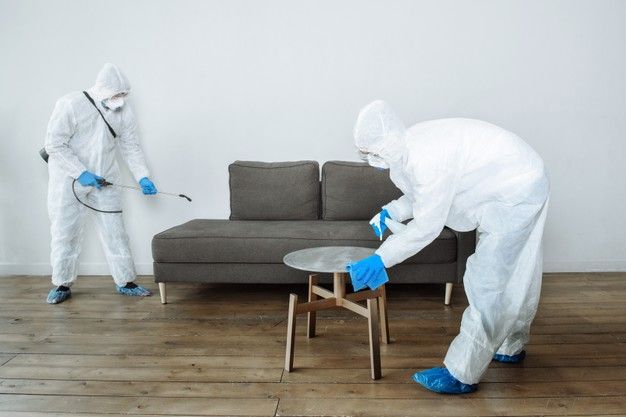 pest control cost